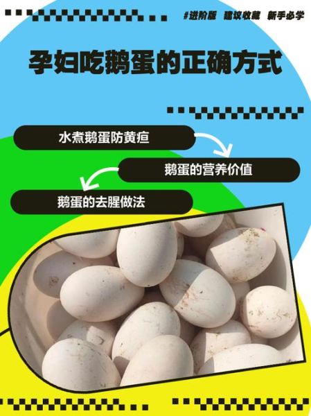孕妇吃鹅蛋的正确方法_鹅蛋一天吃几个最好-第1张图片-星辰妙记