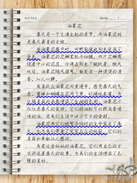 油菜花作文怎么写_油菜花作文开头怎么写-第1张图片-星辰妙记