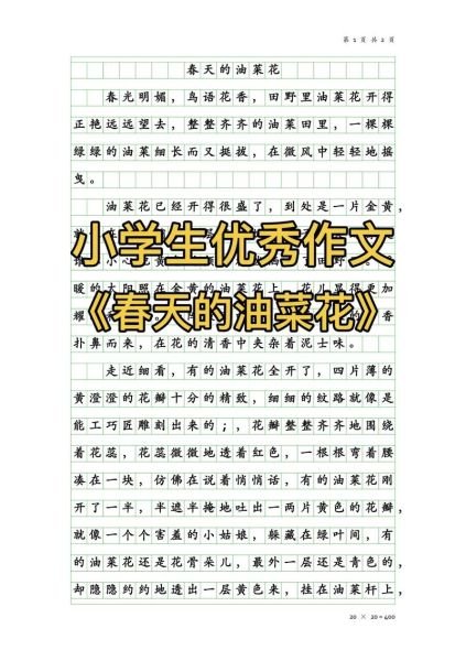 油菜花作文怎么写_油菜花作文开头怎么写-第2张图片-星辰妙记
