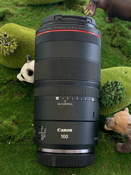 佳能新百微镜头值得买吗_实拍对比评测-第1张图片-星辰妙记