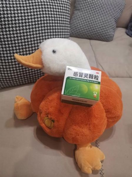 孕妇可以喝感冒灵颗粒吗_孕妇感冒能吃什么药-第2张图片-星辰妙记