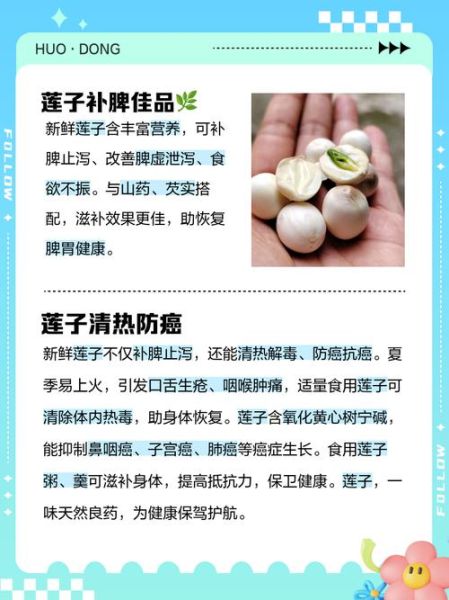 孕妇吃莲子对胎儿好吗_孕妇吃莲子的好处与禁忌-第1张图片-星辰妙记