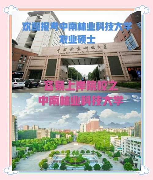 中南林业科技大学是几本_中南林业科技大学属于几本院校-第2张图片-星辰妙记